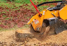 Leaf Removal in Atascadero, CA